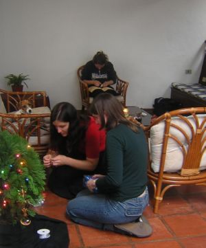 decorate tree resize.jpg