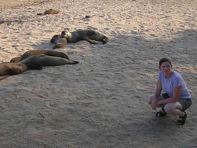 seals on beach.jpg